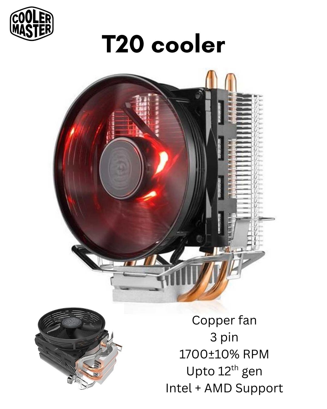 Cooler T20