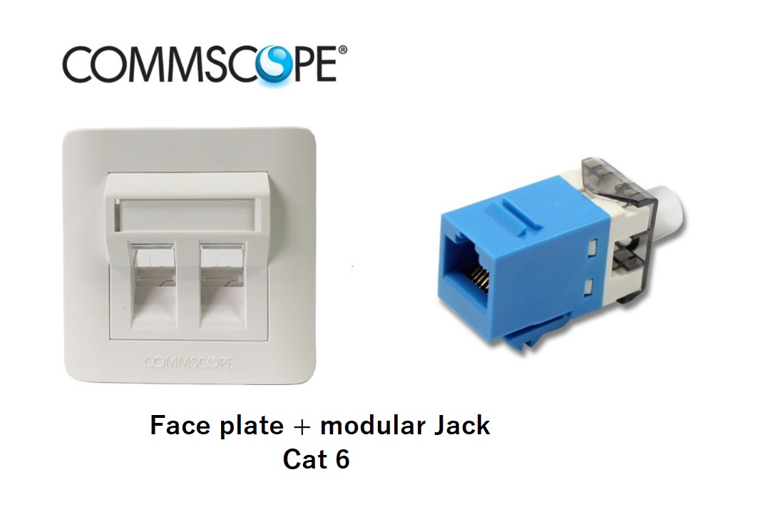 Face Plate + Modular Jack Cat 6